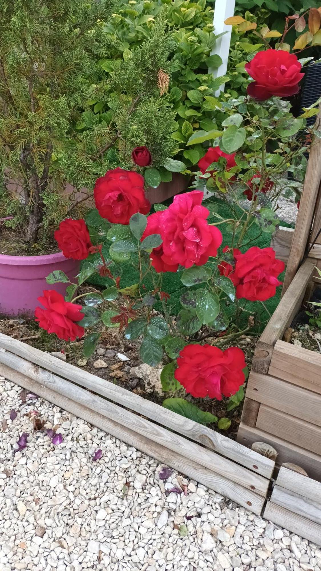Le Clos Des Passiflores ปงส์ ภายนอก รูปภาพ